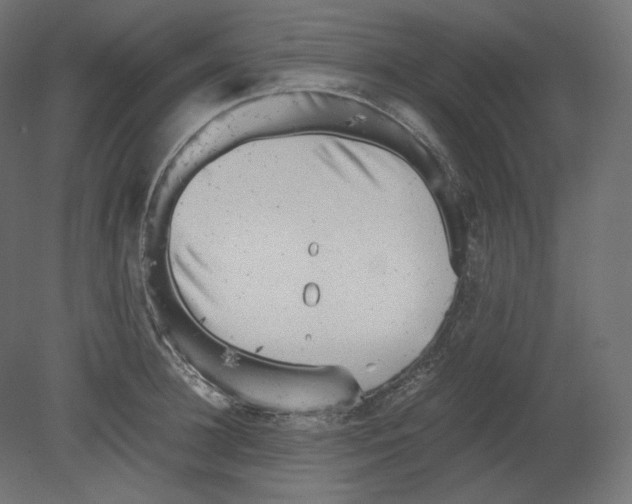 X0000080700948200701121748