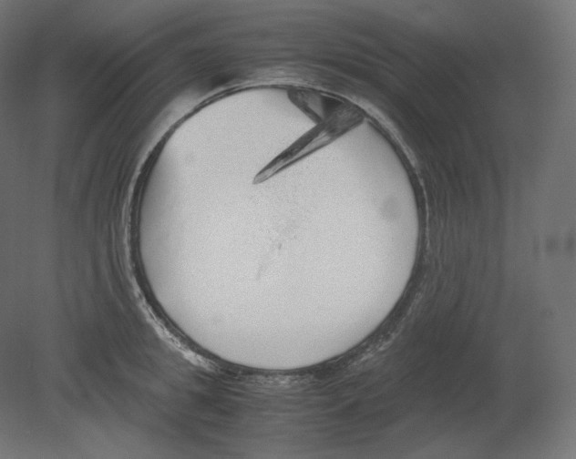 X0000080700949200701121748