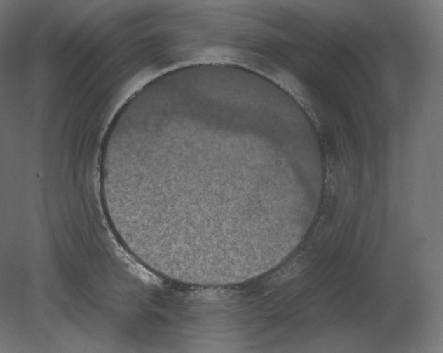 X0000080700950200701121748