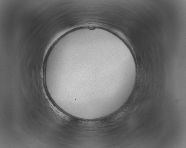 X0000080700951200701121748