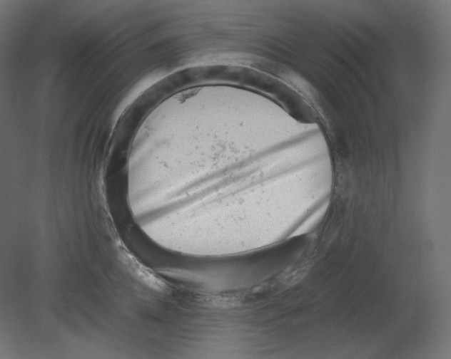 X0000080700952200701121748