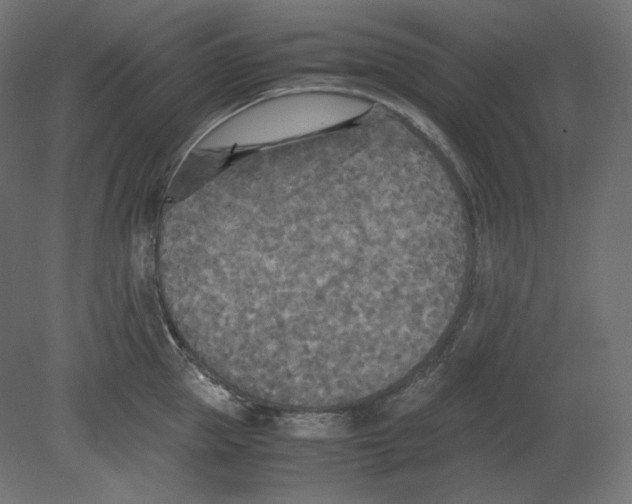 X0000080700953200701121748