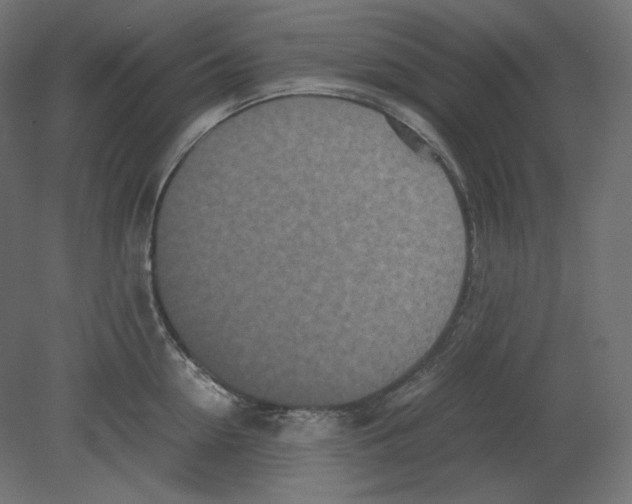 X0000080700954200701121748