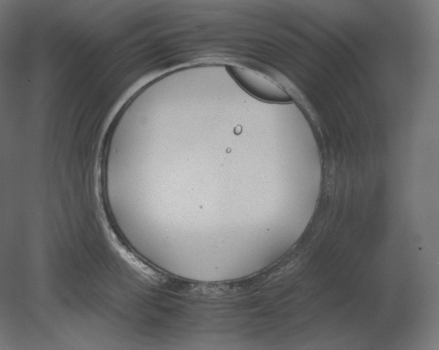 X0000080700955200701121748