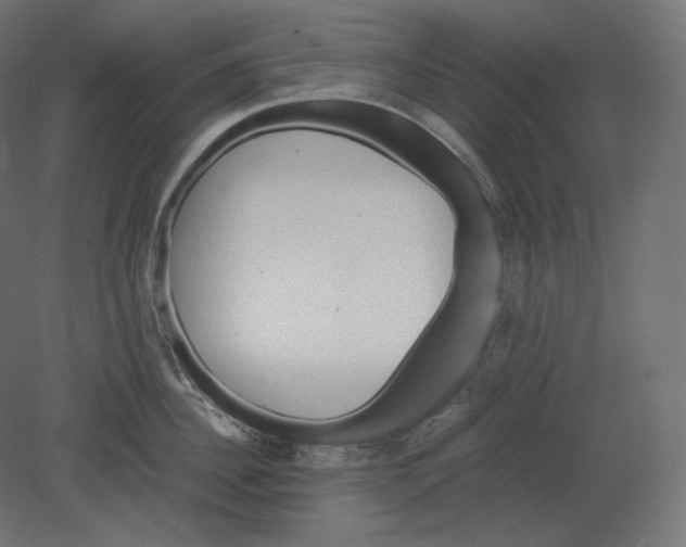 X0000080700956200701121748