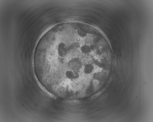 X0000080700957200701121748