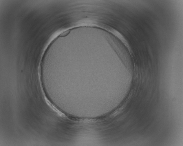 X0000080700958200701121748