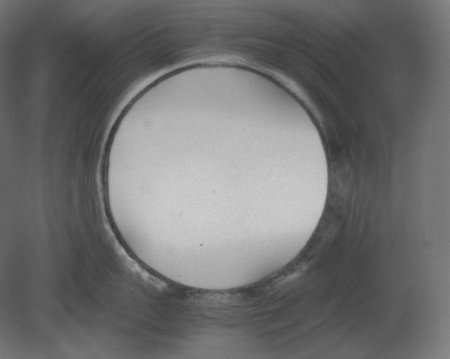 X0000080700959200701121748