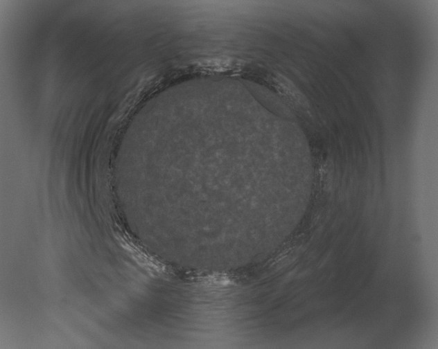 X0000080700961200701121747