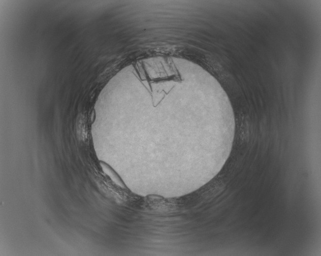 X0000080700962200701121747