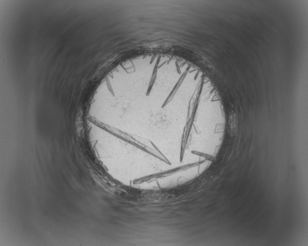 X0000080700963200701121747