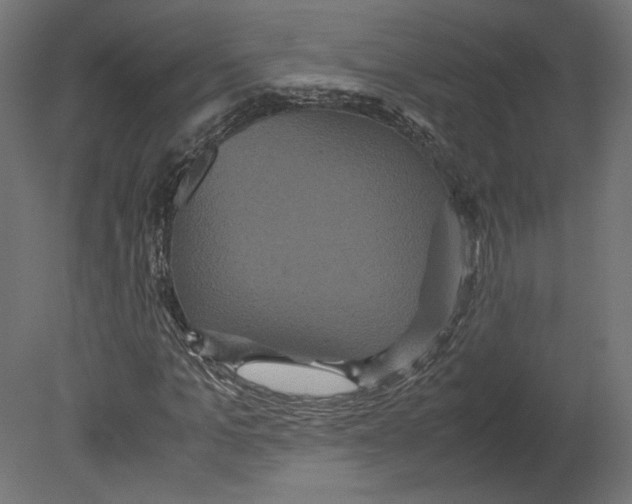 X0000080700965200701121747