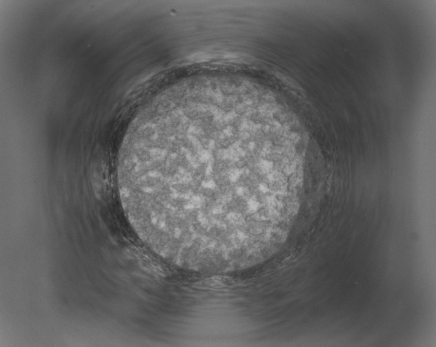 X0000080700966200701121747