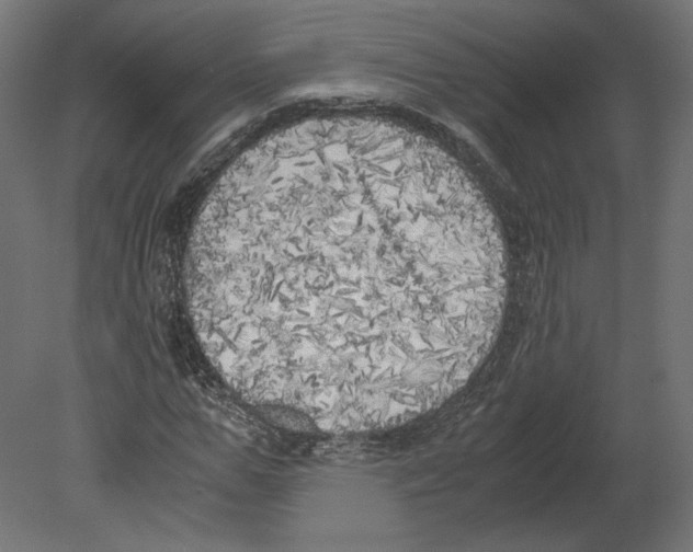 X0000080700967200701121747