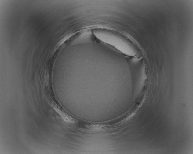 X0000080700969200701121747