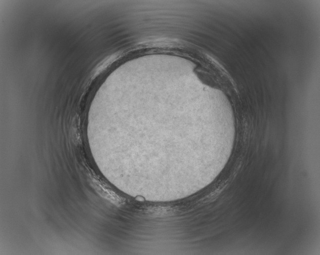 X0000080700970200701121747