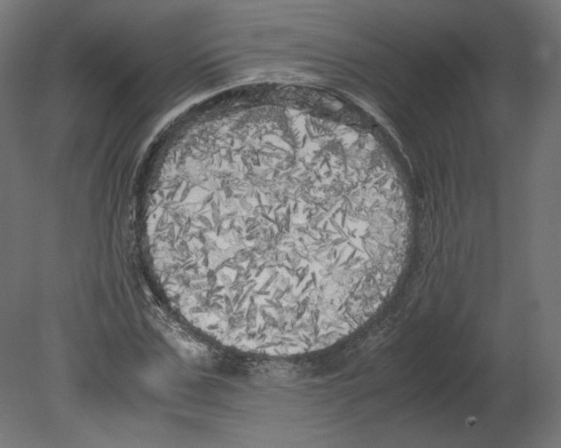 X0000080700971200701121747