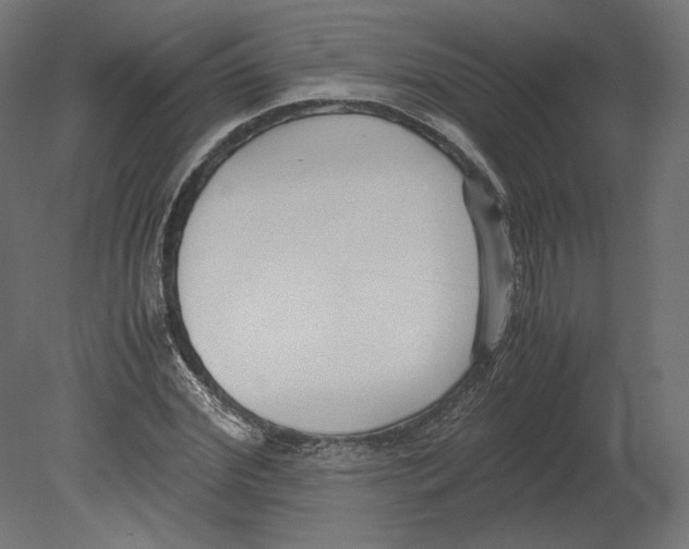 X0000080700972200701121747