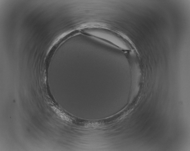 X0000080700973200701121747