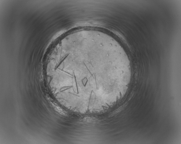 X0000080700974200701121747