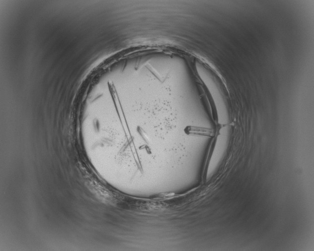 X0000080700975200701121747