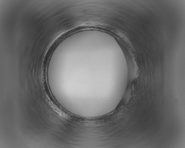 X0000080700976200701121747