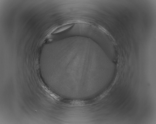 X0000080700977200701121747