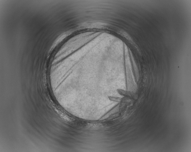 X0000080700978200701121747