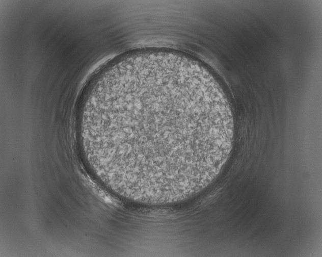 X0000080700979200701121747