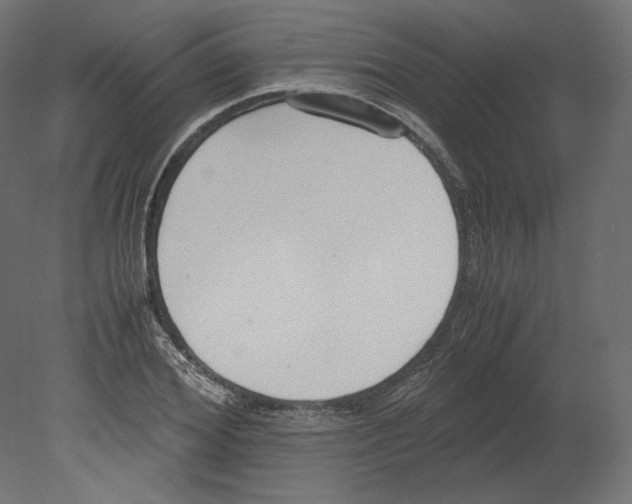 X0000080700980200701121747