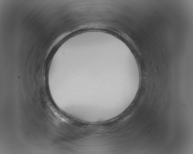 X0000080700981200701121747