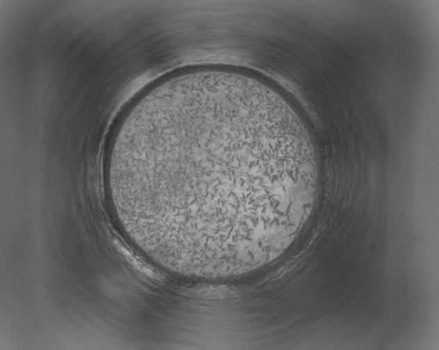 X0000080700982200701121747