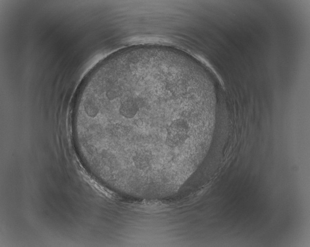 X0000080700983200701121747