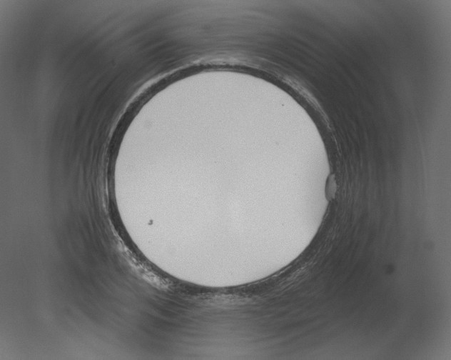 X0000080700984200701121747