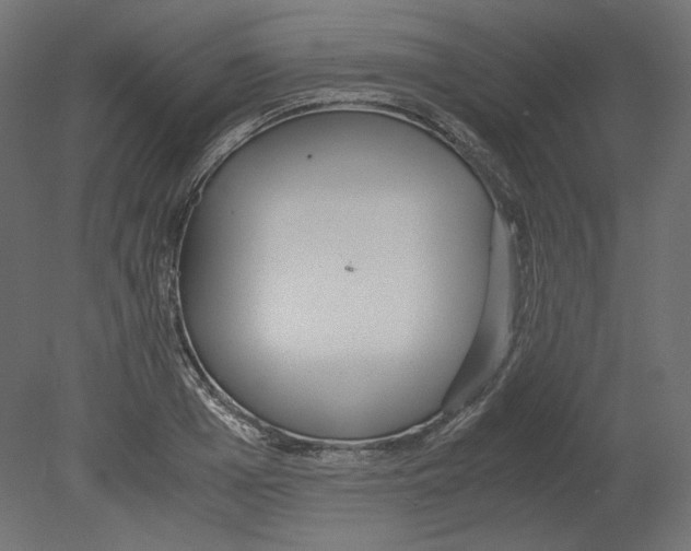 X0000080700985200701121747