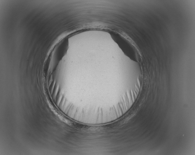 X0000080700989200701121746