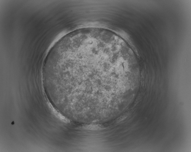 X0000080700998200701121746