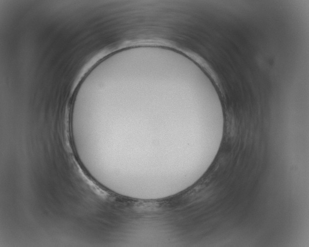 X0000080701006200701121746