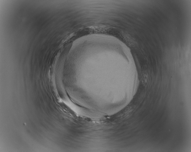 X0000080701010200701121745