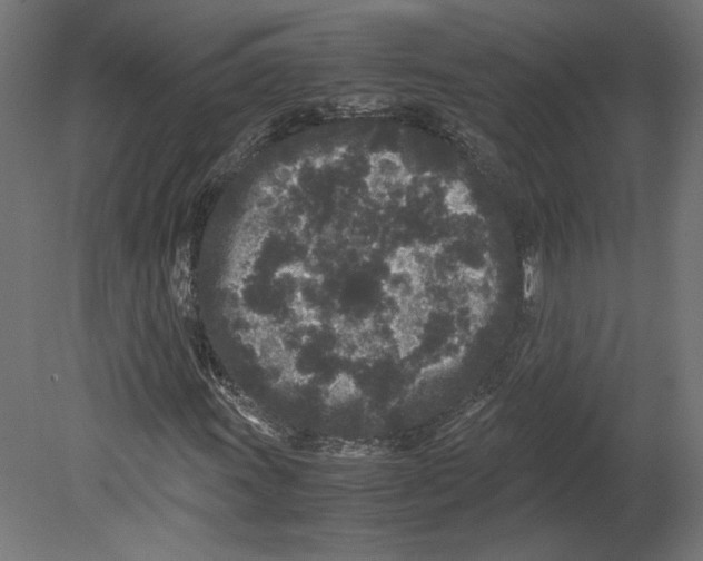 X0000080701011200701121745