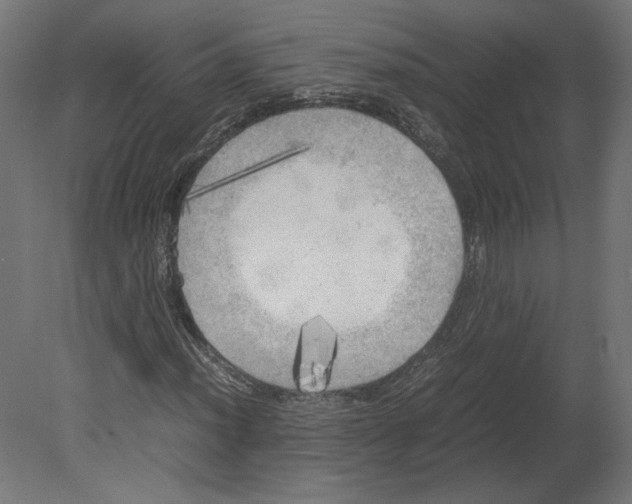 X0000080701012200701121745