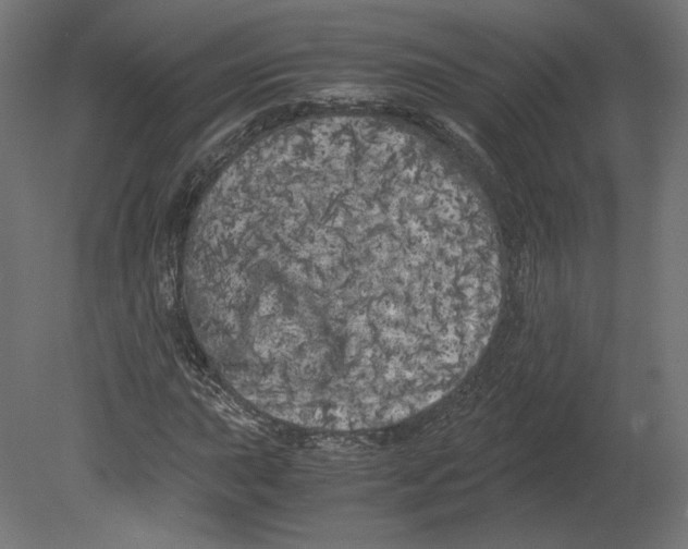 X0000080701015200701121745