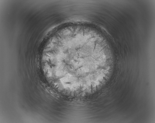 X0000080701016200701121745