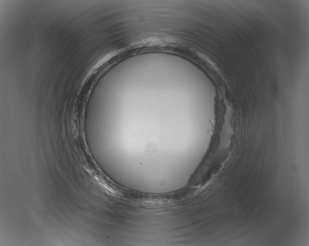 X0000080701018200701121745