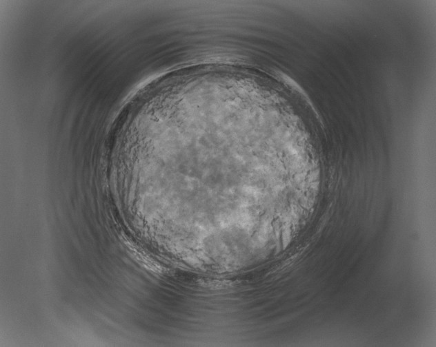X0000080701019200701121745