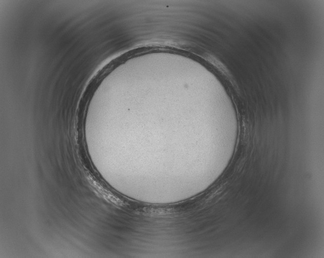 X0000080701020200701121746