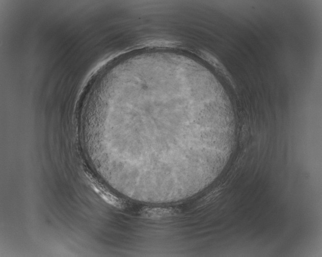 X0000080701027200701121746