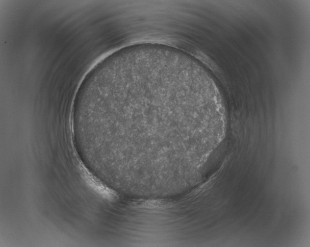 X0000080701028200701121746