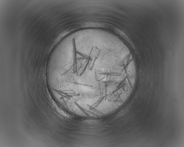 X0000080701033200701121746