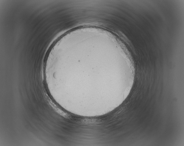 X0000080701036200701121746